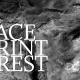 faceprinterest